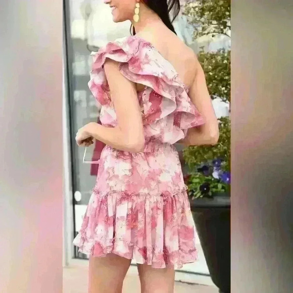 Buddy Love - Women’s Small - Sofia Dress - One Shoulder Pink/Gold - Picture 2 of 8